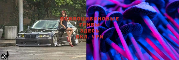 spice Дубна