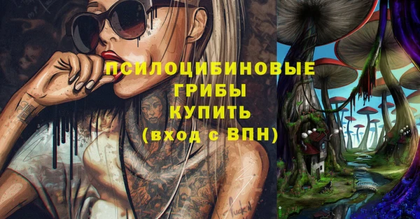 герыч Алексин