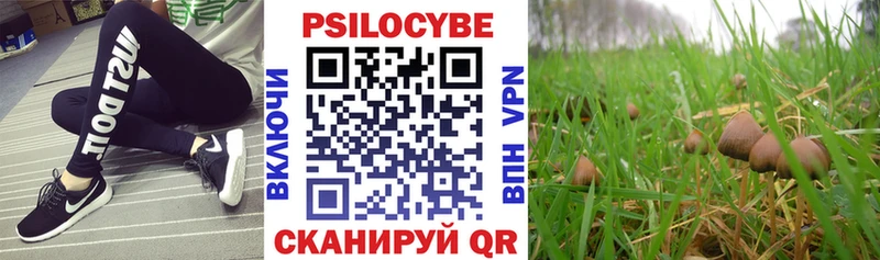 Галлюциногенные грибы ЛСД Медынь